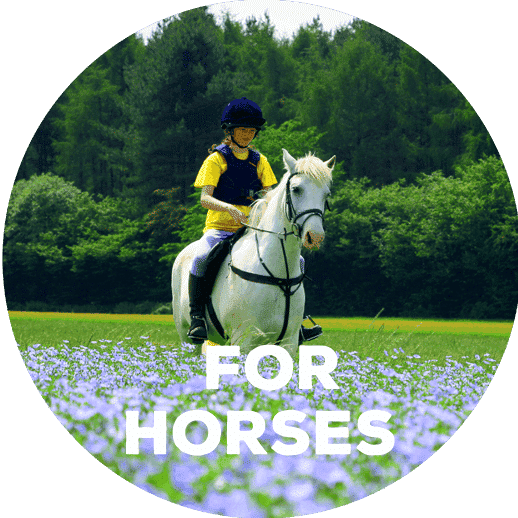 Rich in omega-3 for horses - PureFlax natural flax seed oil