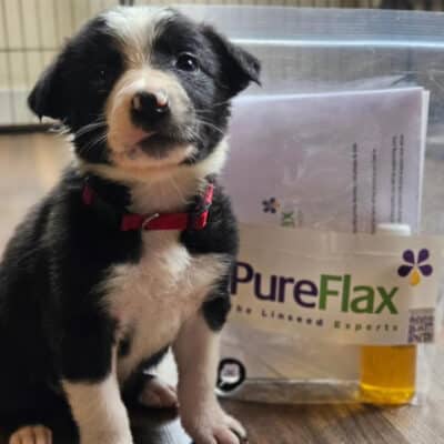 PureFlax Puppy Packs